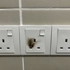 Thumb img 6436