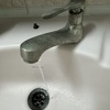 Thumb img 0554