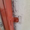 Thumb 20240204 115005