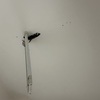 Thumb img 2337