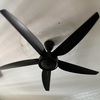 Thumb img 6824