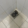 Thumb img 5261