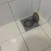 Thumb img 5260