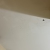 Thumb img 3709