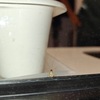 Thumb img 3407