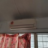 Thumb img 20240422 154932