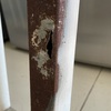 Thumb img 3014