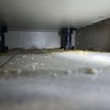 Thumb img 4851