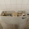 Thumb img 8203
