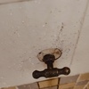 Thumb img20240620195337