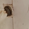 Thumb img20240620195343