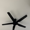Thumb img 1187