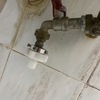 Thumb img 2006