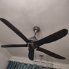 Thumb img20240706201439