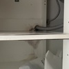 Thumb img 0145