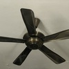 Thumb img 8016