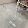 Thumb img 7987