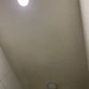 Thumb img 8737