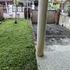 Thumb img 20240819 072627