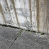 Thumb img 20240819 072641