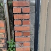 Thumb img 20240819 072758