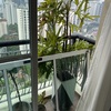 Thumb img 8247