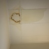 Thumb img 3541