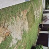 Thumb img 20240914 162815 7122281883435531665