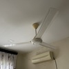 Thumb img 9973