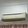 Thumb img 1789