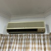 Thumb img 1791